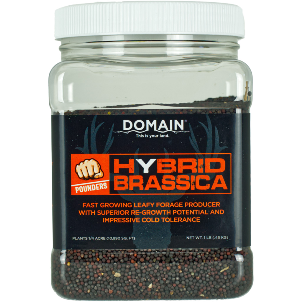 Domain Hybrid Brassica Pounder Seed 1/4 Acre